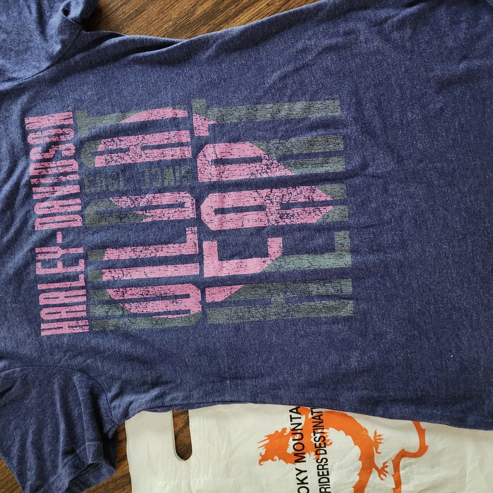 Harley-Davidson Blue Graphic T-Shirt
